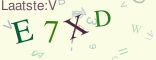 This is a captcha-picture. It is used to prevent mass-access by robots. (see: www.captcha.net)