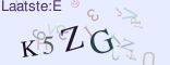 This is a captcha-picture. It is used to prevent mass-access by robots. (see: www.captcha.net)