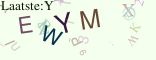 This is a captcha-picture. It is used to prevent mass-access by robots. (see: www.captcha.net)